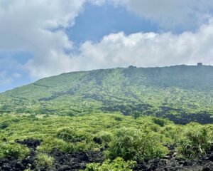 伊豆大島三天兩夜 自由行分享｜火山健行、沙漠探險、絕景露營＆自駕環島行程分享
