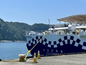 伊豆大島過夜渡輪 SARUVIA 搭乘體驗｜東京出發夜間船班 × 東海汽船2等室全紀錄＋搭船手續攻略