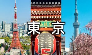 東京自由行 景點 東京什麼好玩