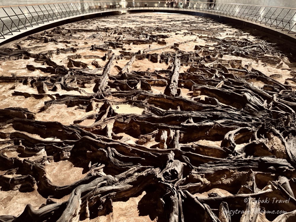 Sendai must-visit Sendai Tomizawa Site Museum A Globally Rare In-Situ Preservation Site Main Underground Exhibition Hall
