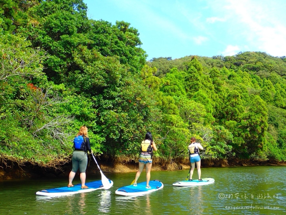 種子島SUP ＆獨木舟體驗｜紅樹林探險＆自然天堂美景漫遊