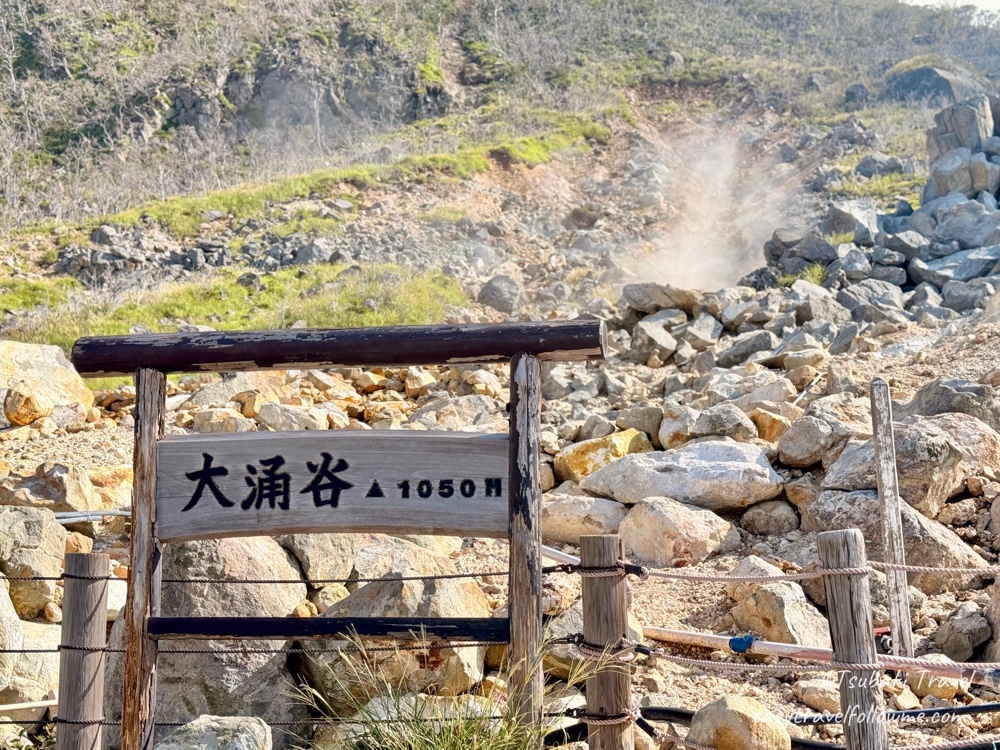 Owakudani Nature Research Trail – A Guided Volcanic Terrain Experience