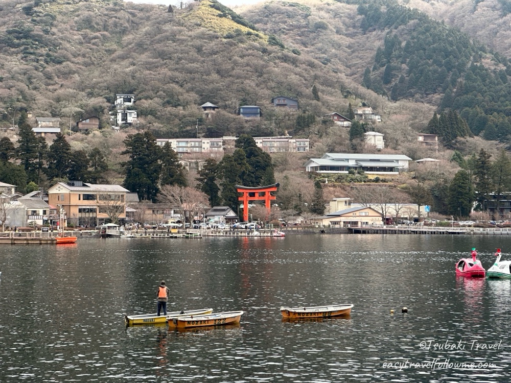 How to Travel from Tokyo to Hakone ? Train or Bus? Route Comparison Guide