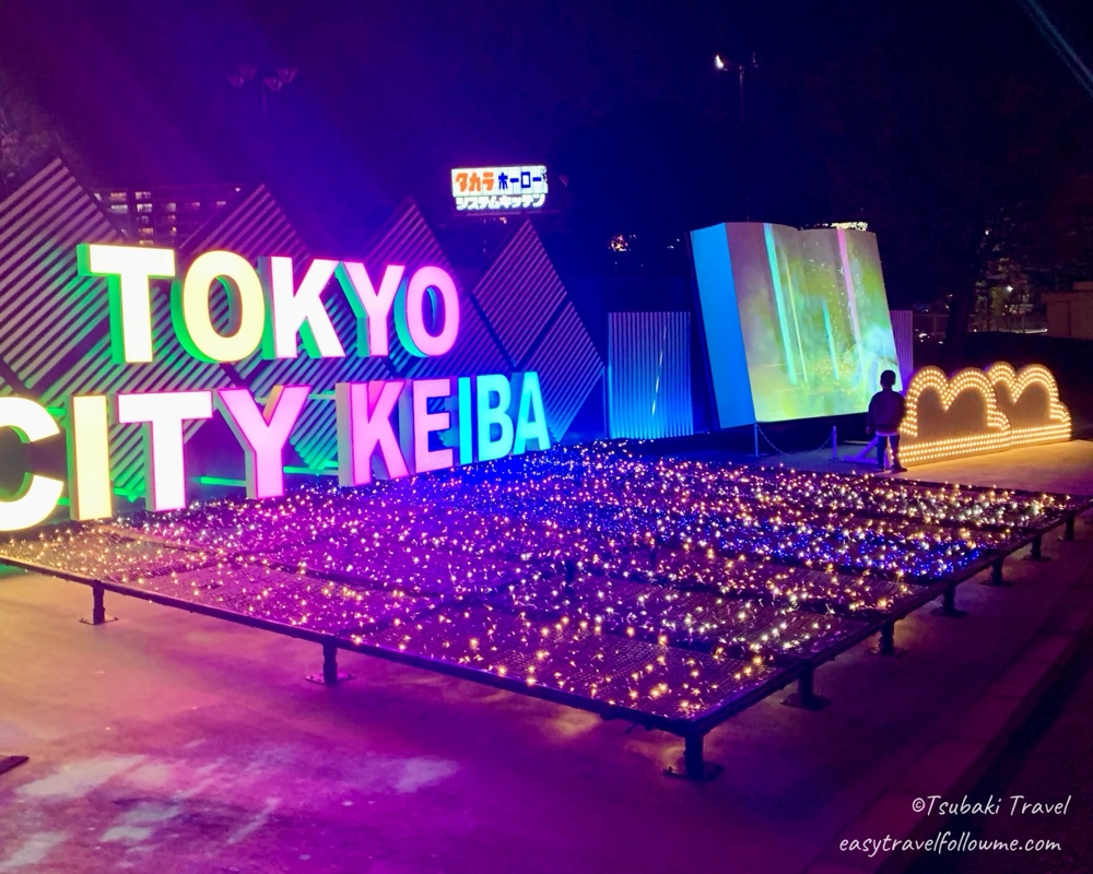 Tokyo Mega Illumi at Oi Racecourse ｜Highlights, Access, and Discount Ticket Info