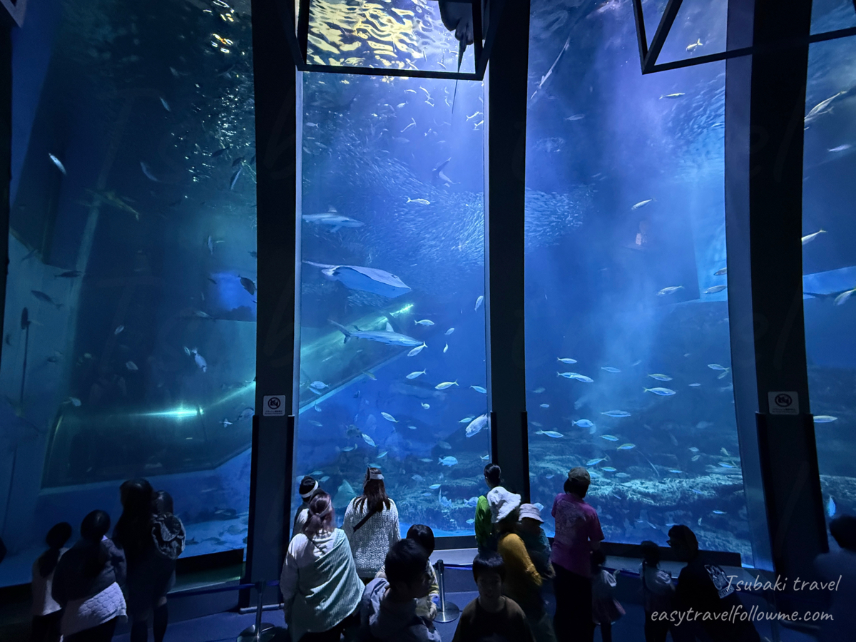 八景島 海島樂園 橫濱水族館＋遊樂園一次滿足！門票交通、表演時間、優惠票完整整理